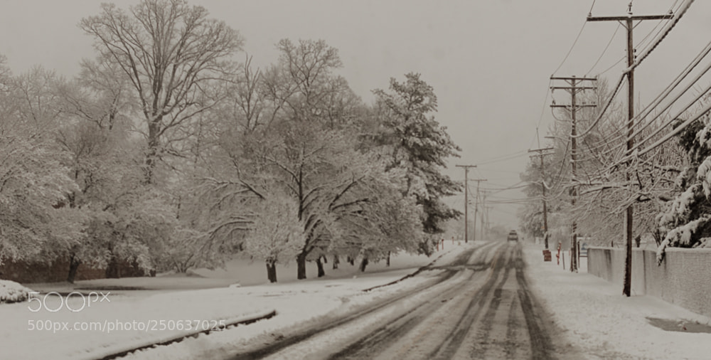 Nikon D5600 sample photo. Snow days photography