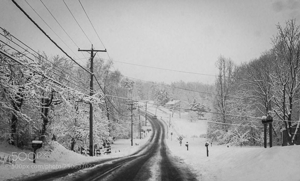Nikon D5600 sample photo. Snow days photography