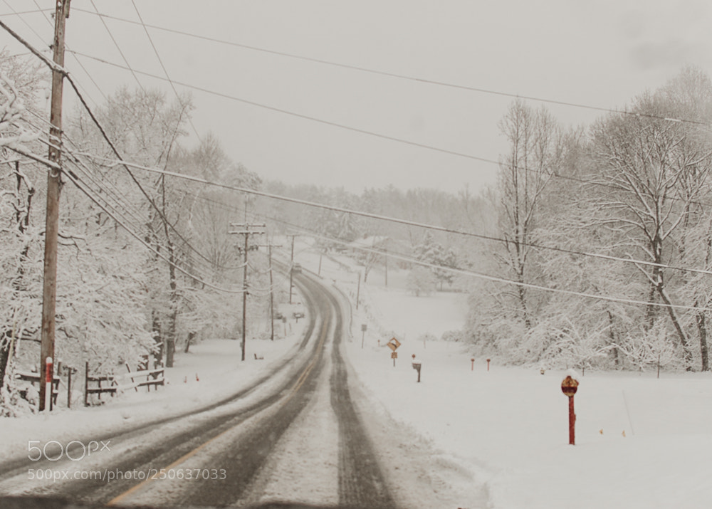 Nikon D5600 sample photo. Snow days photography