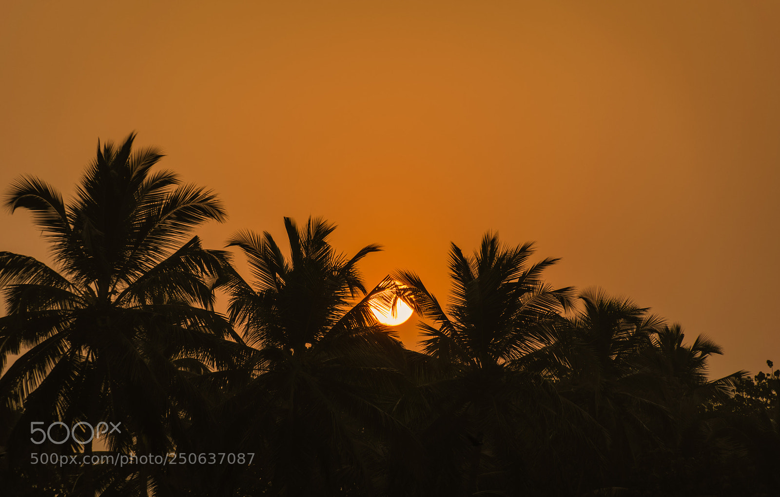 Nikon D5300 sample photo. Orange sunrise photography
