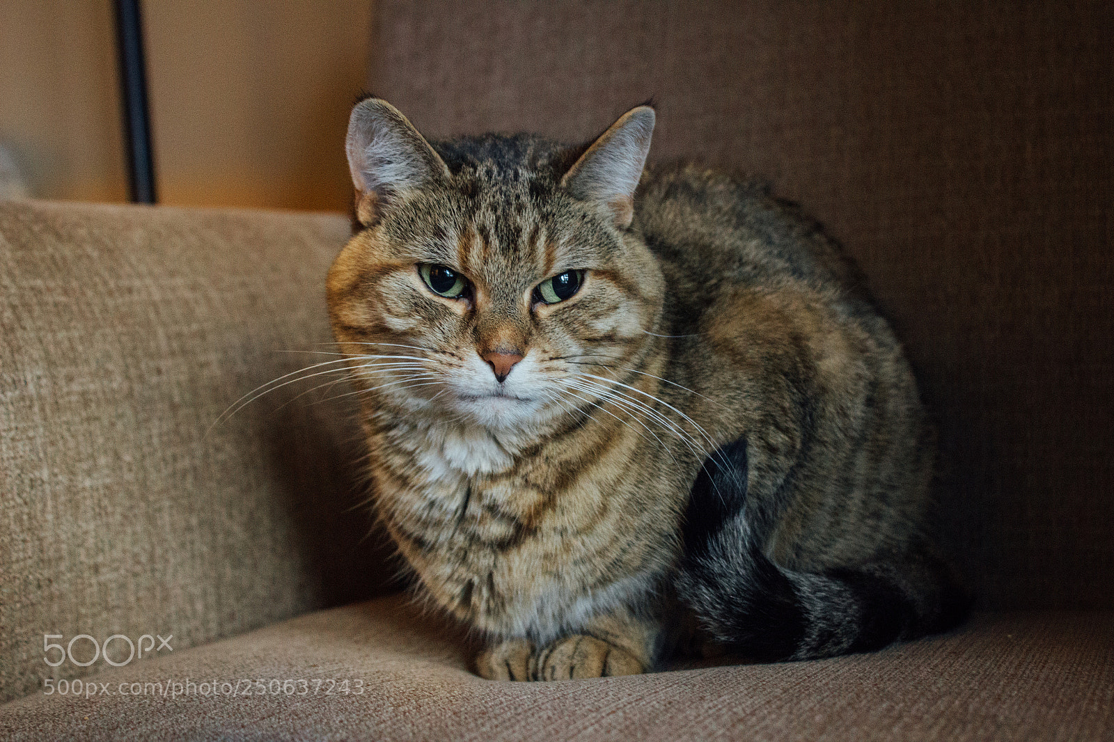 Canon EOS 1200D (EOS Rebel T5 / EOS Kiss X70 / EOS Hi) sample photo. Img photography