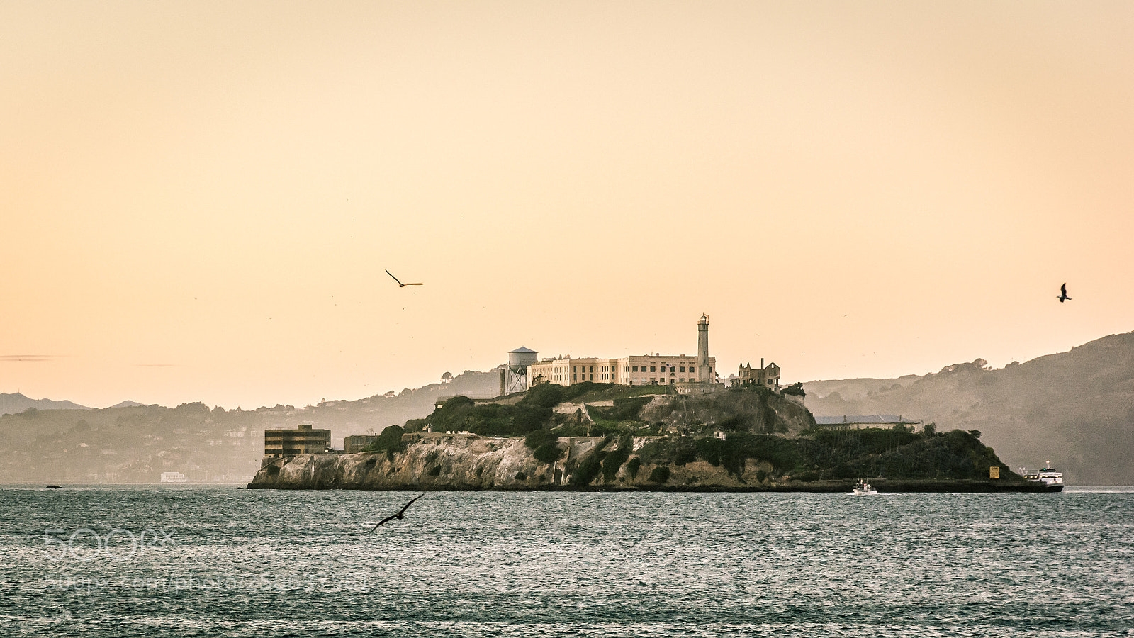 Nikon D5200 sample photo. Alcatraz island, san francisco photography