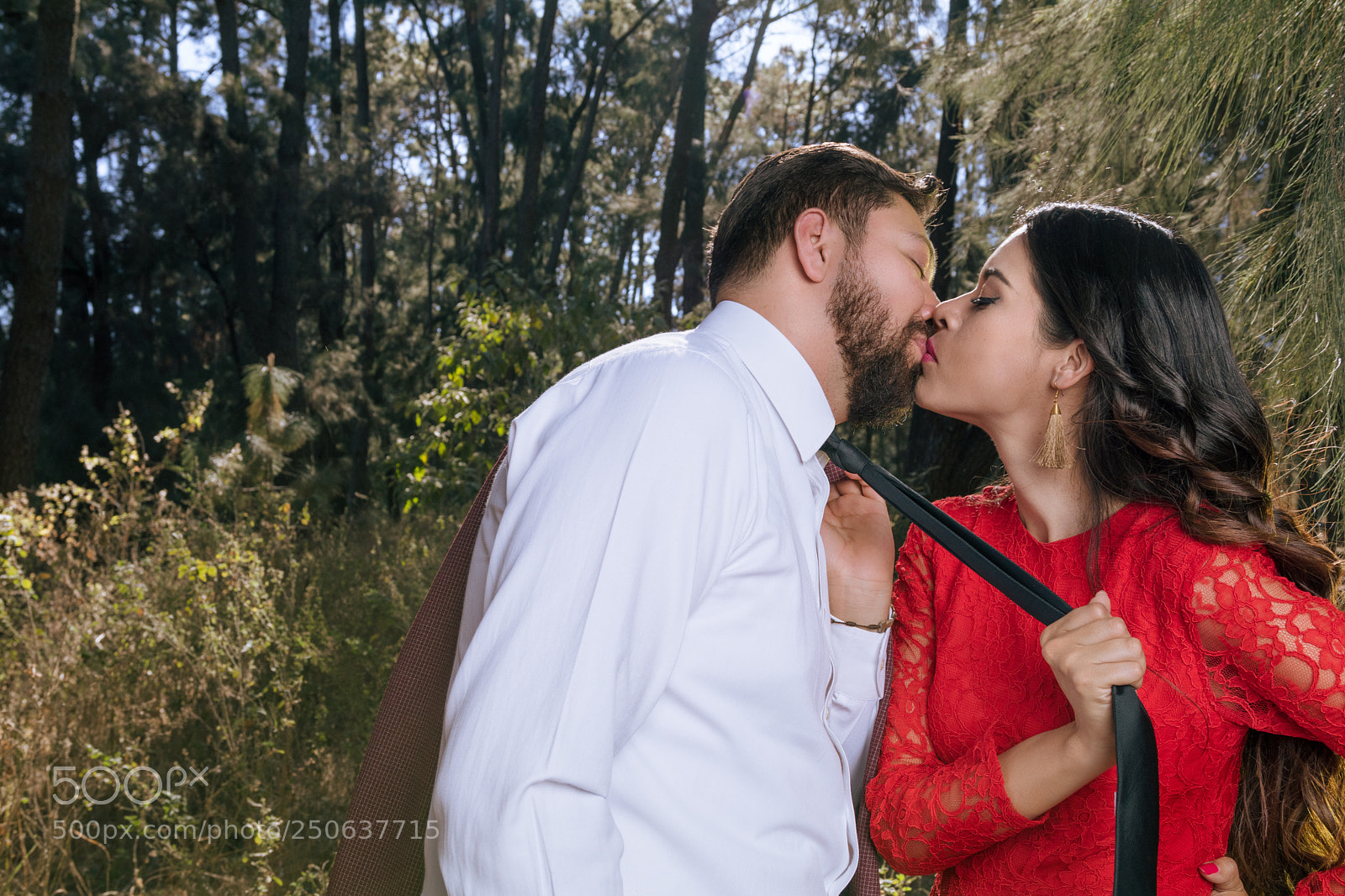 Canon EOS 80D sample photo. Domination photography