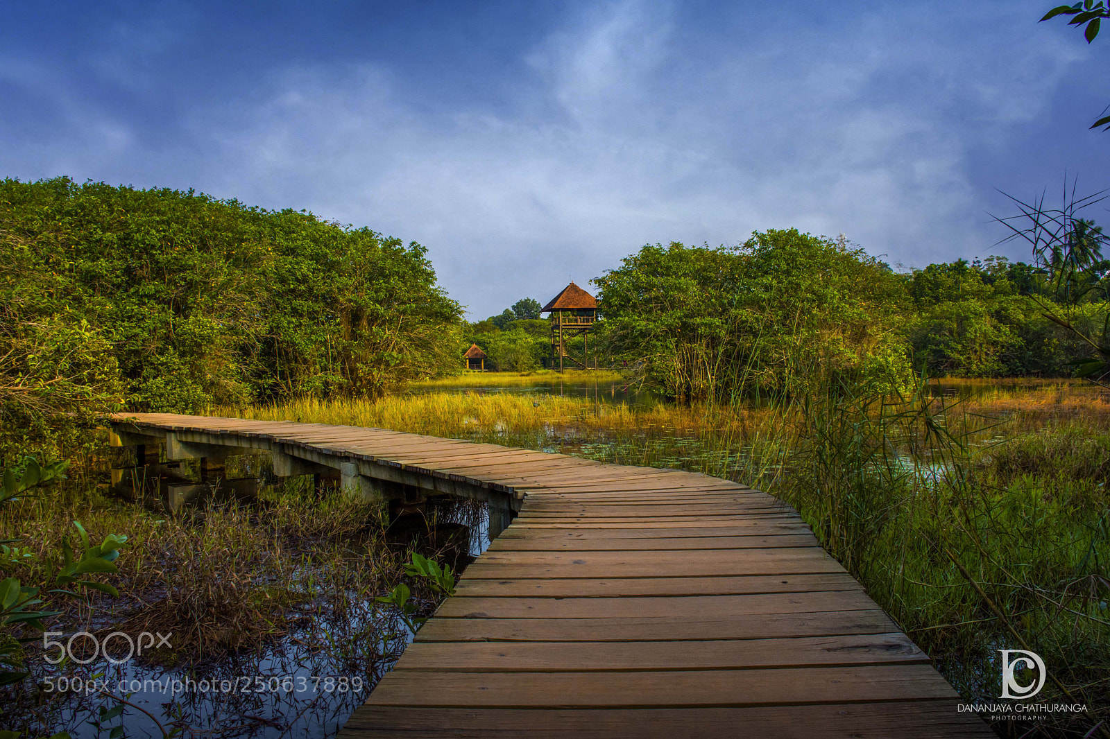 Nikon D7200 sample photo. Beddagana wetland park, sri photography