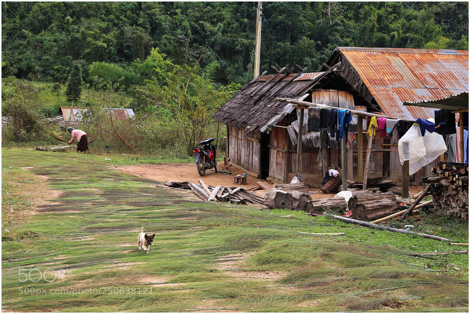 Canon EOS 6D + Canon EF 24-105mm F4L IS USM sample photo. Drying grass for weaving photography