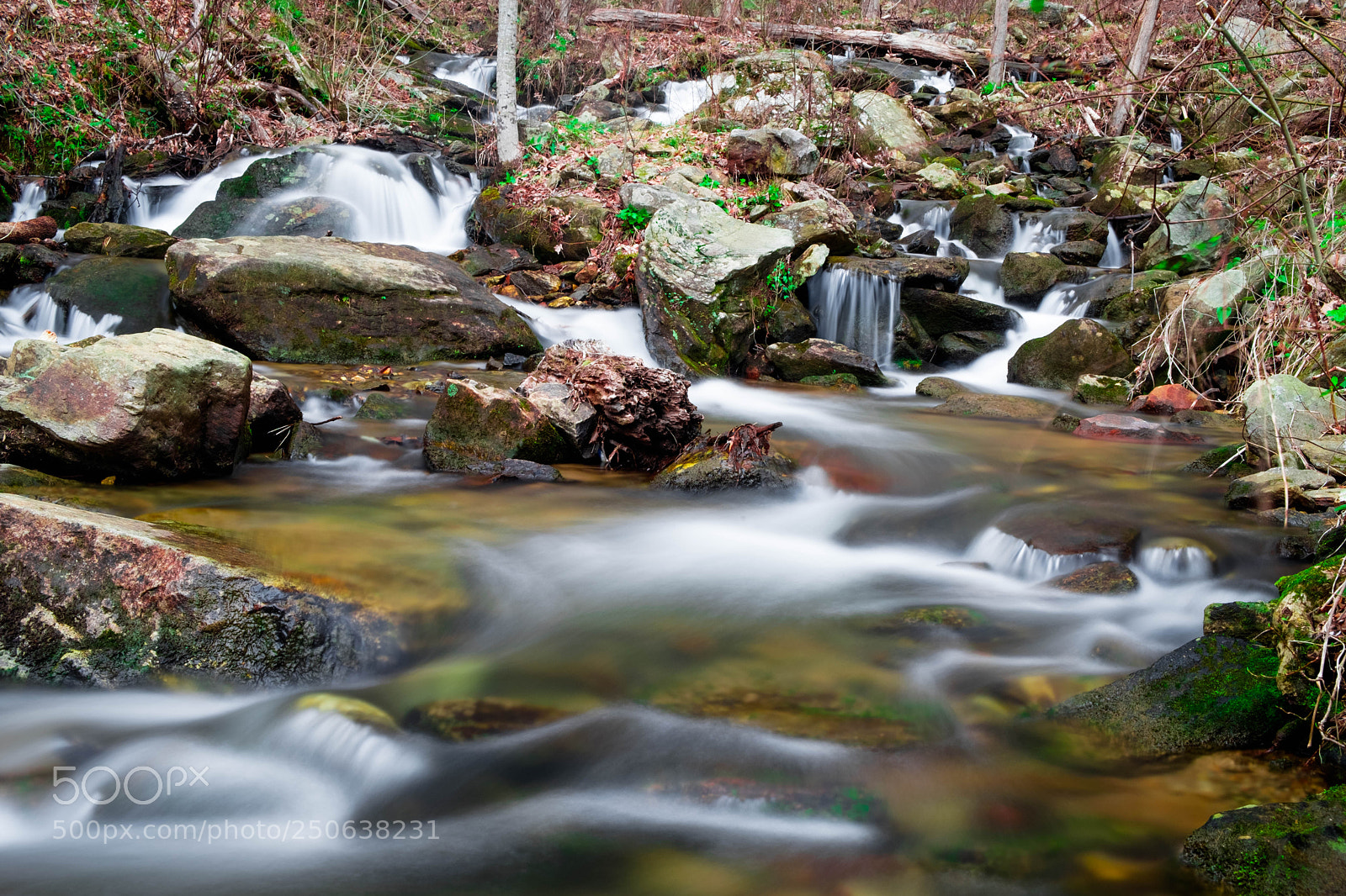 Fujifilm X-T20 sample photo. Amicalola falls photography