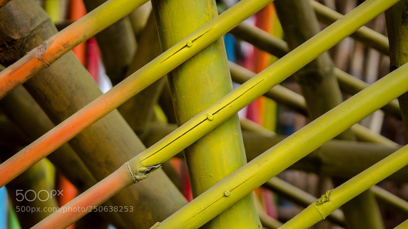 Nikon D7000 sample photo. Abstract photography