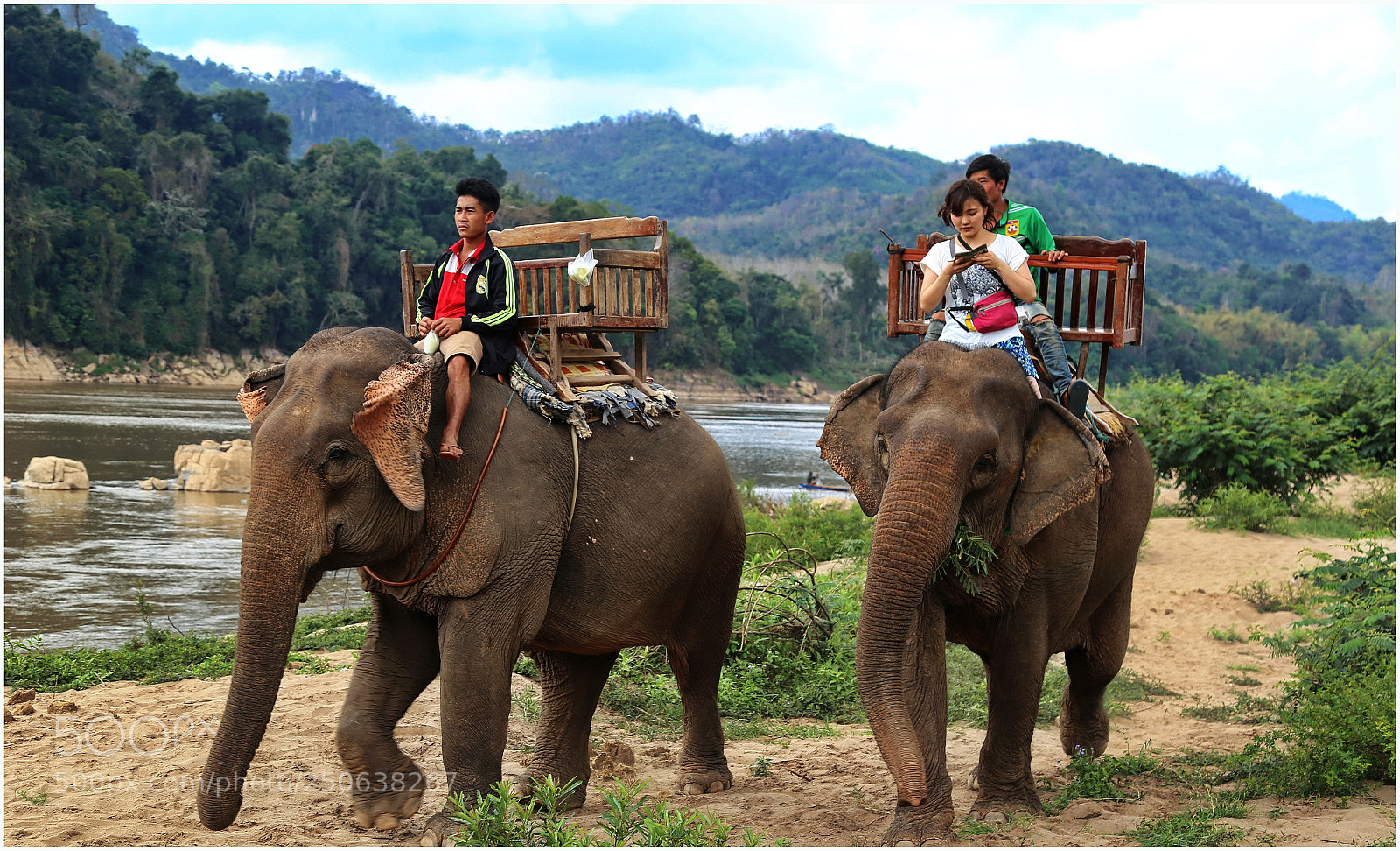 Canon EOS 6D + Canon EF 24-105mm F4L IS USM sample photo. Elephant rides at nam photography