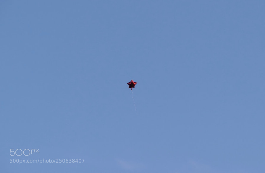Nikon D3300 sample photo. Untitled photography