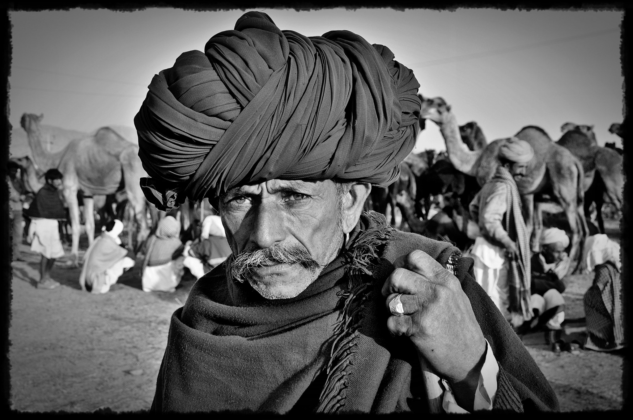 Nikon D90 sample photo. Camel fair photography