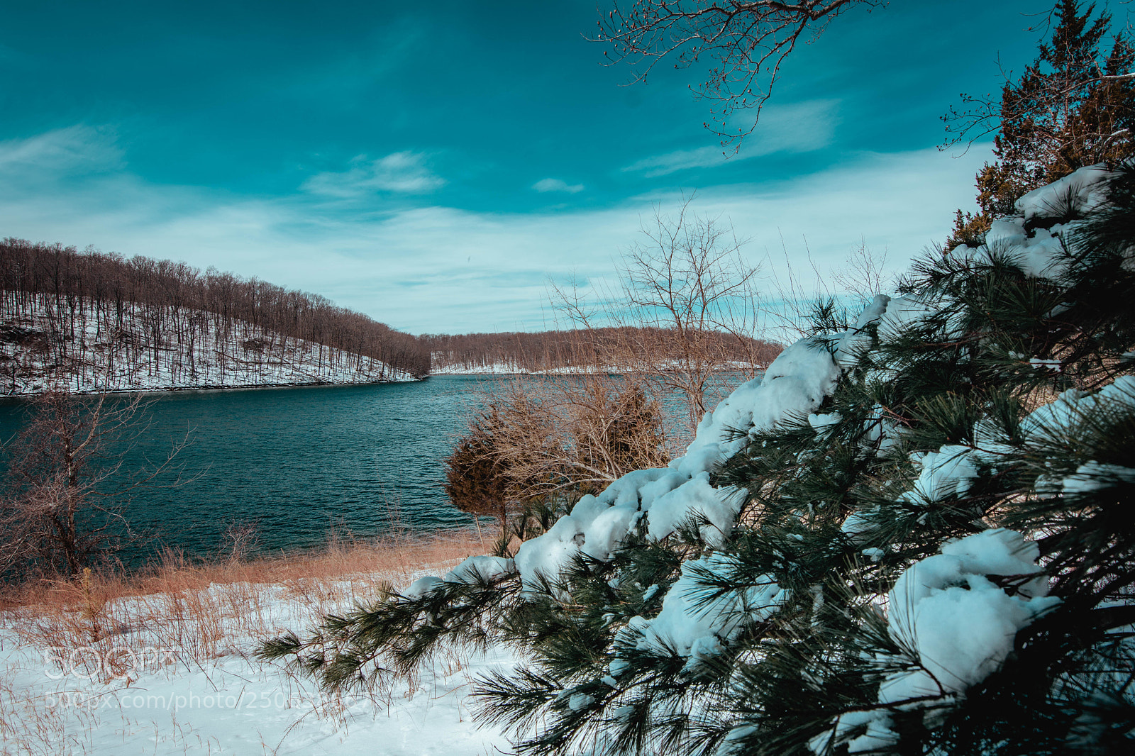 Nikon D7200 sample photo. Bye winter welcome spring photography