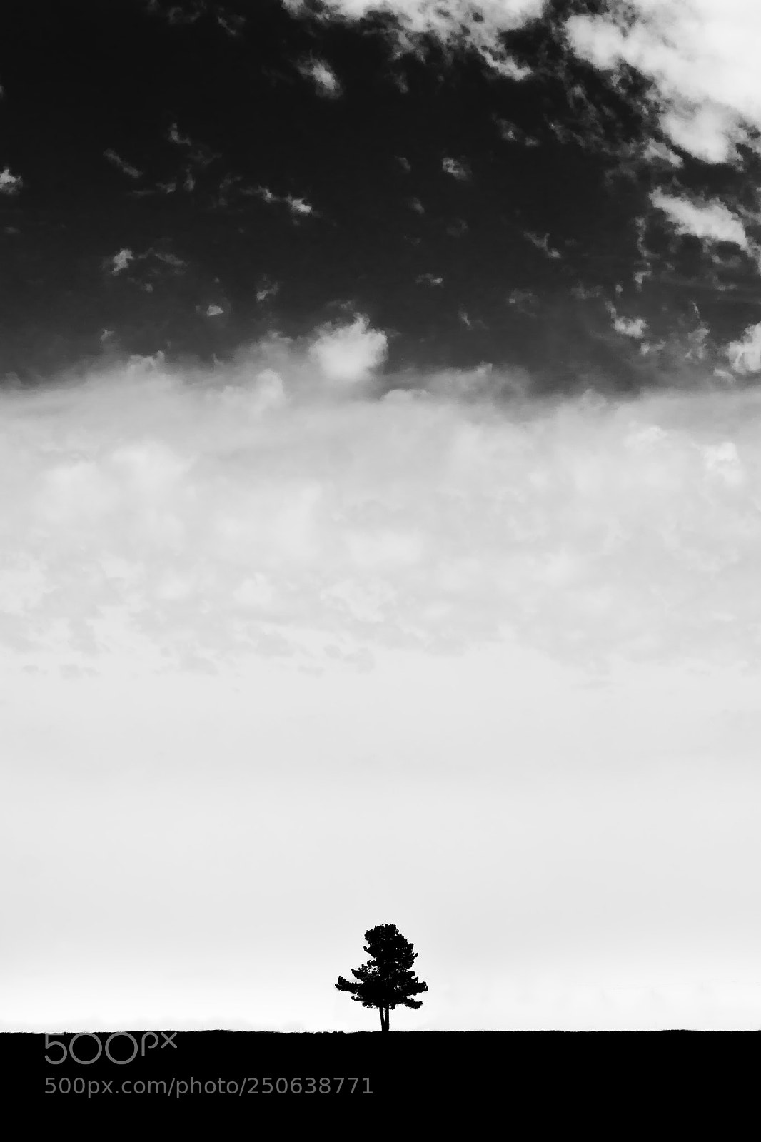 Nikon D7100 sample photo. Untitled photography