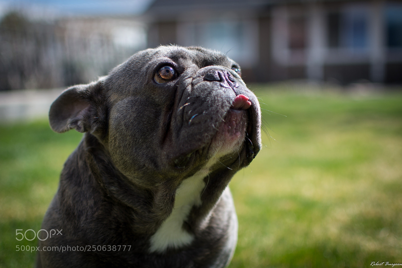 Nikon D5200 sample photo. Treat photography