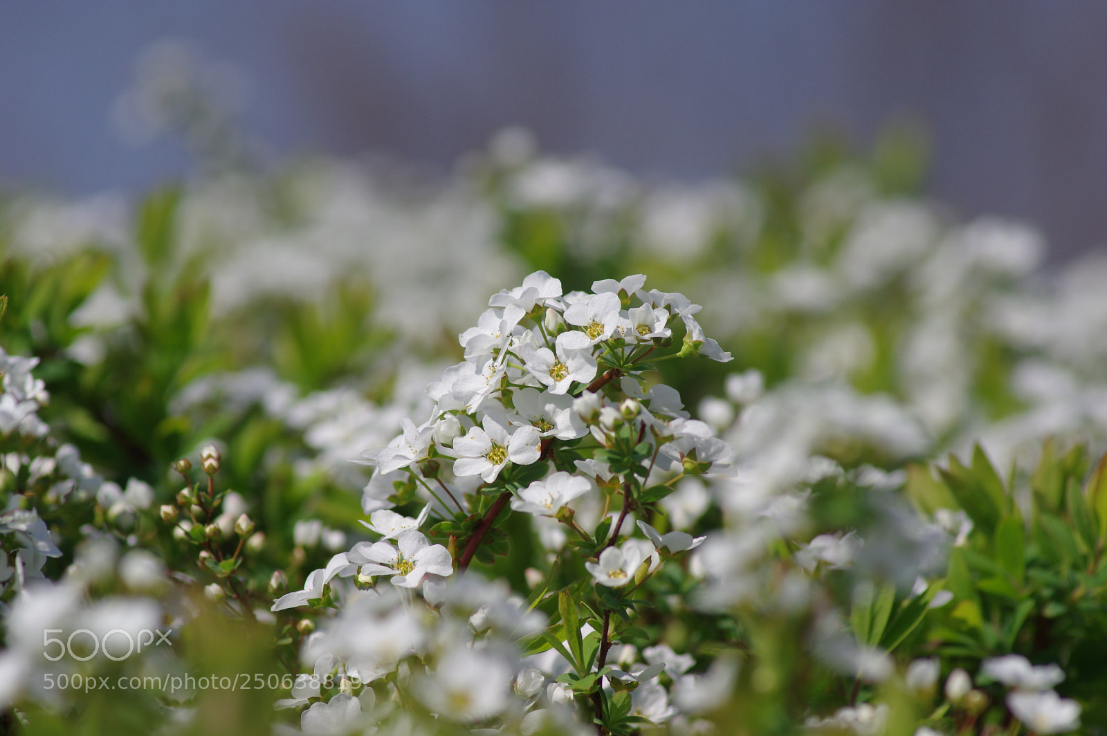 Pentax K-3 sample photo. There i ve found photography