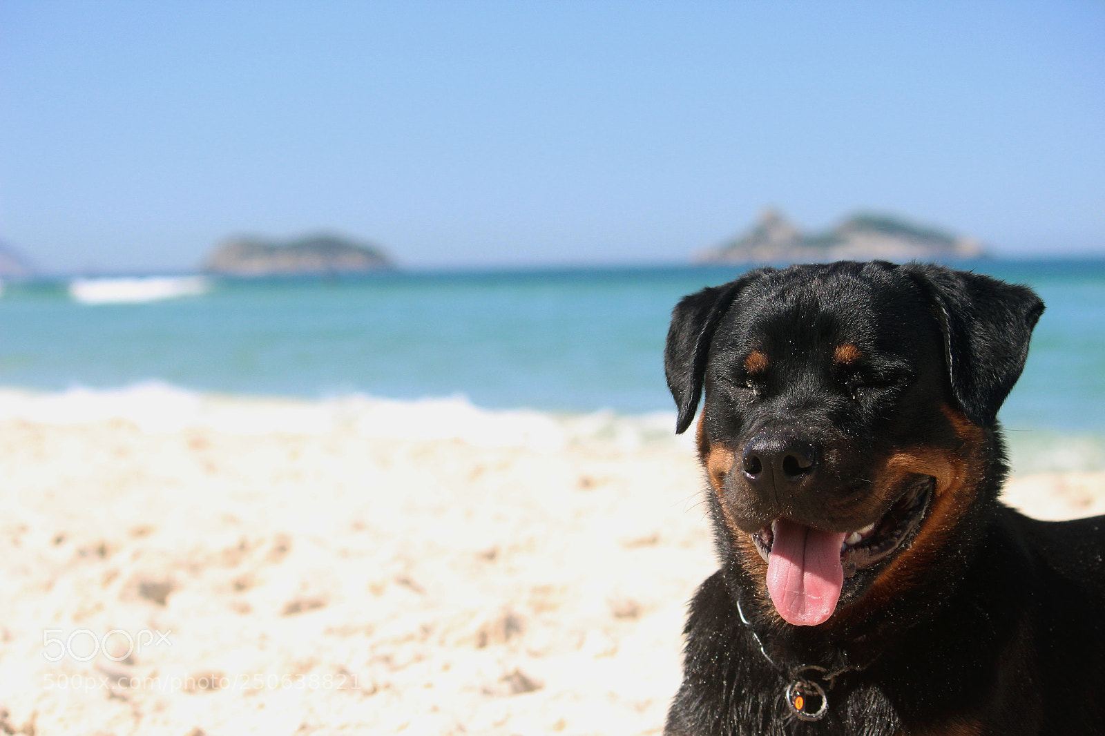 Canon EOS 600D (Rebel EOS T3i / EOS Kiss X5) sample photo. Haka photography