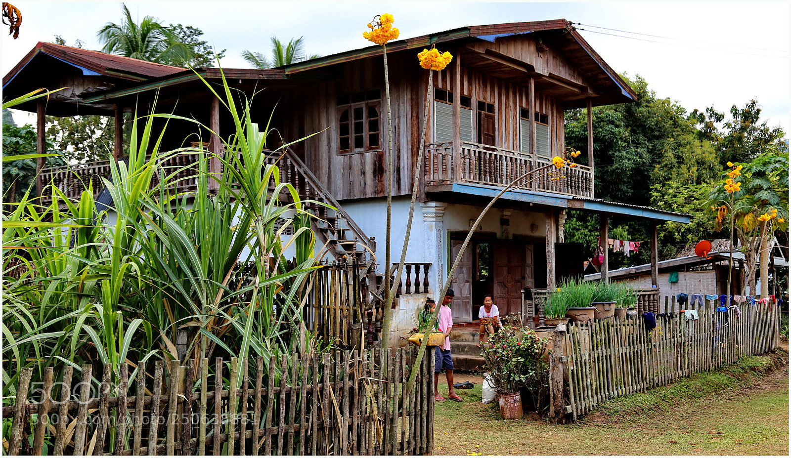 Canon EOS 6D + Canon EF 24-105mm F4L IS USM sample photo. House at ban pak photography