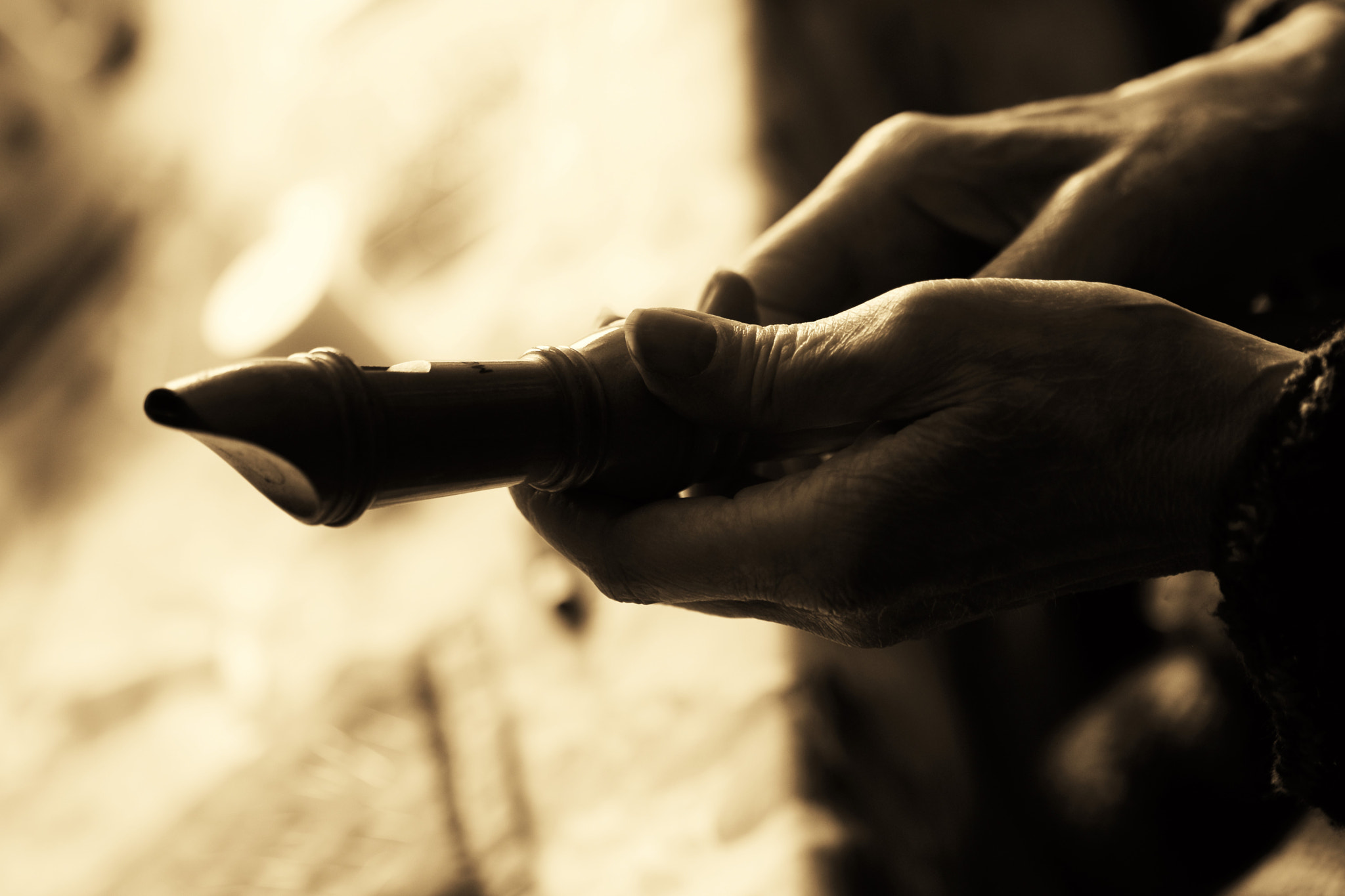 Nikon D5300 sample photo. Woodwind photography