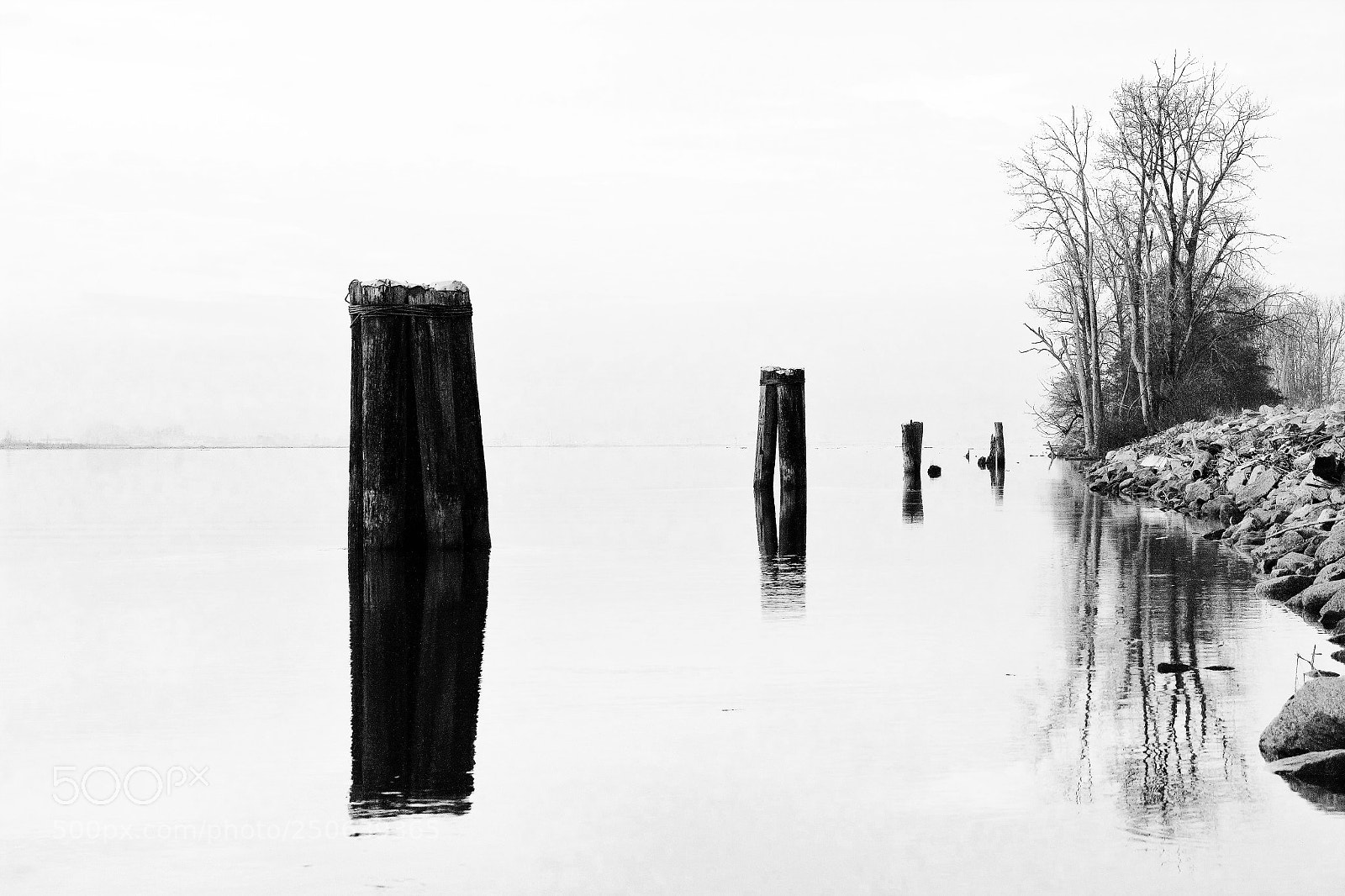 Canon EOS 60D sample photo. Fraser river -- 非沙河 photography