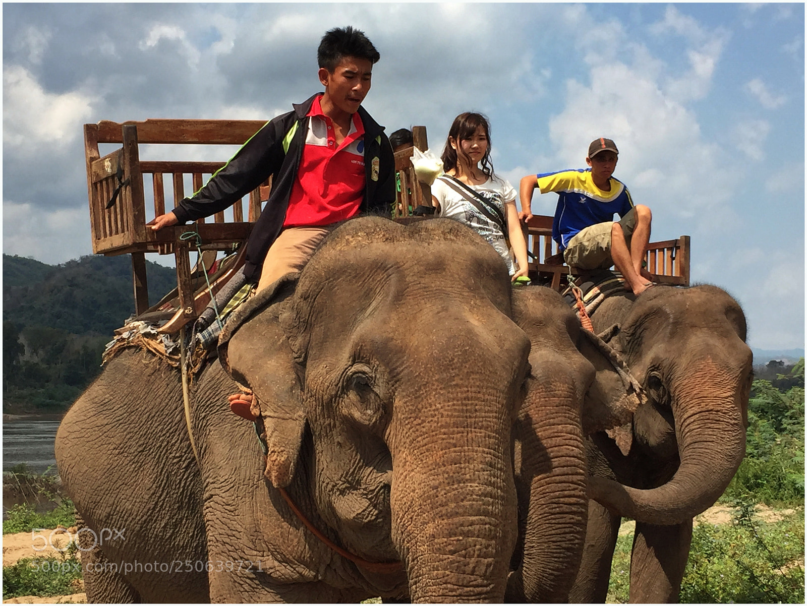 Apple iPhone 6 Plus sample photo. Nam ou elephant camp photography