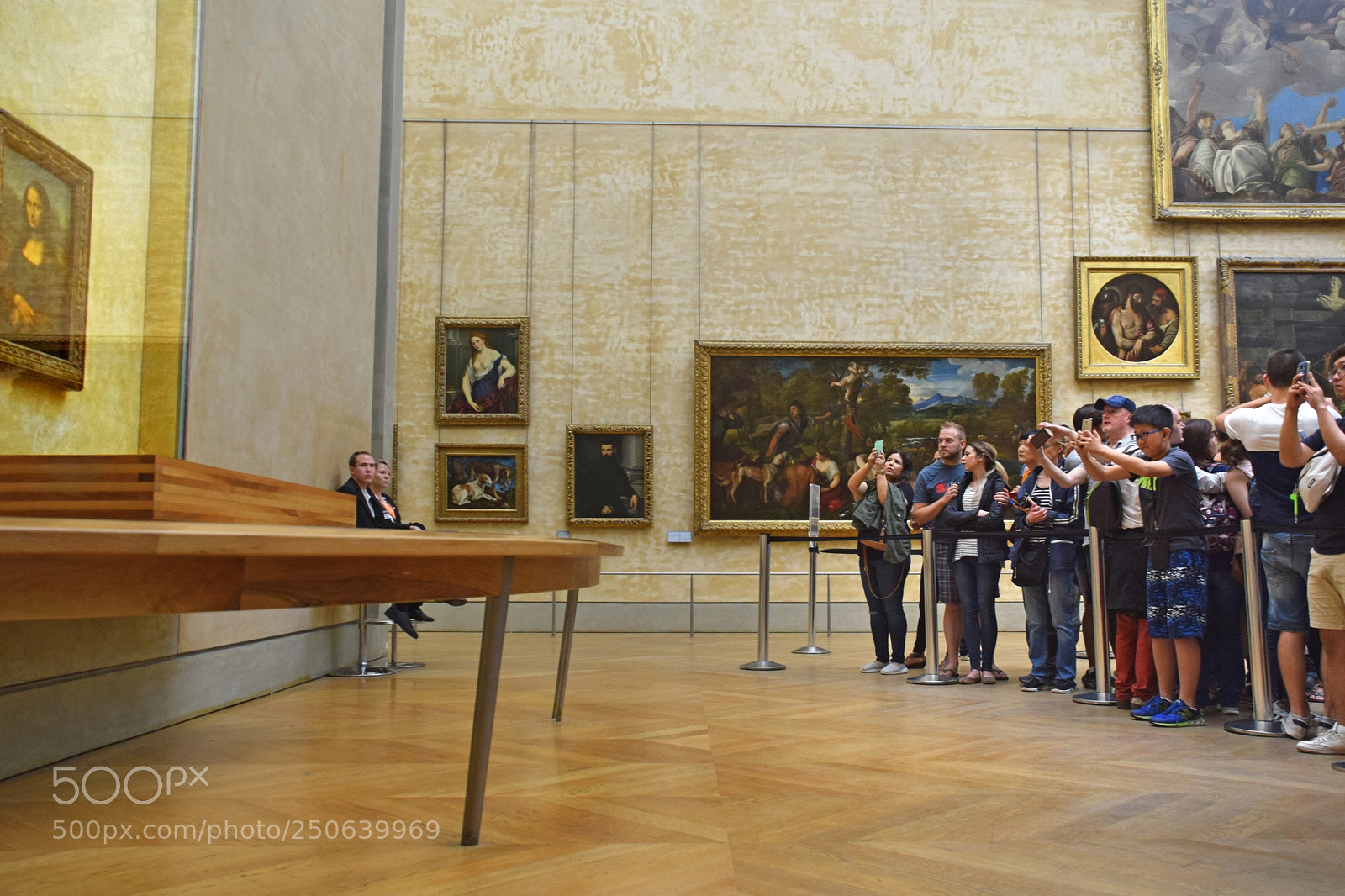 Nikon D3300 sample photo. Mona lisa fans photography