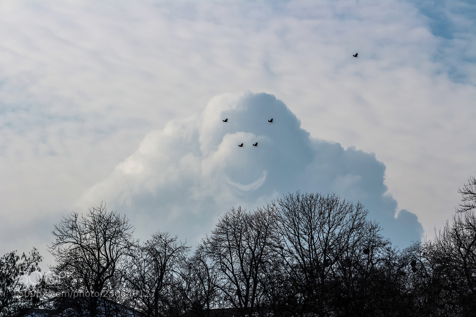 Canon EOS 700D (EOS Rebel T5i / EOS Kiss X7i) sample photo. Cloud monster photography