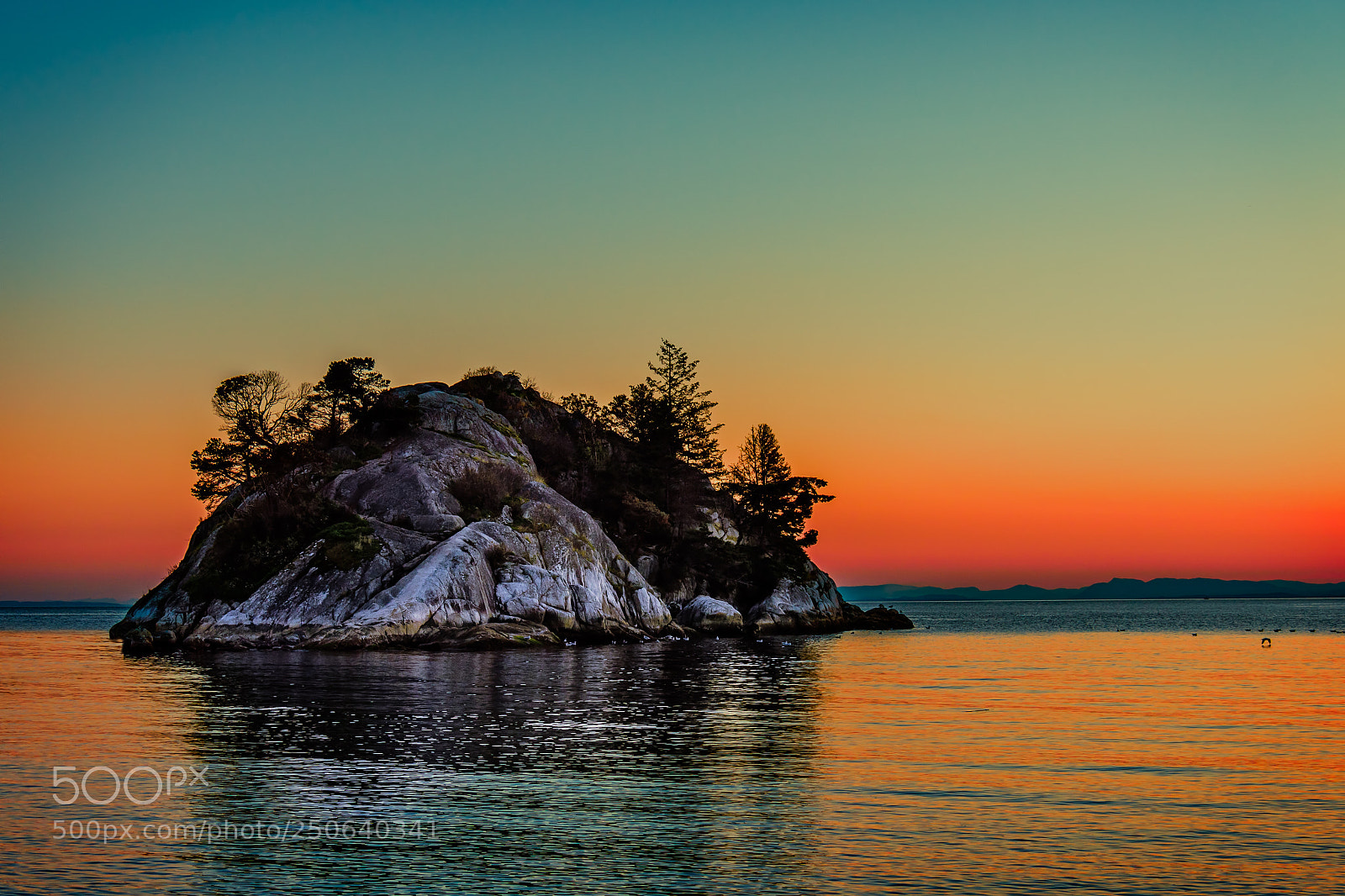 Nikon D810 sample photo. Island of whytecliff park photography