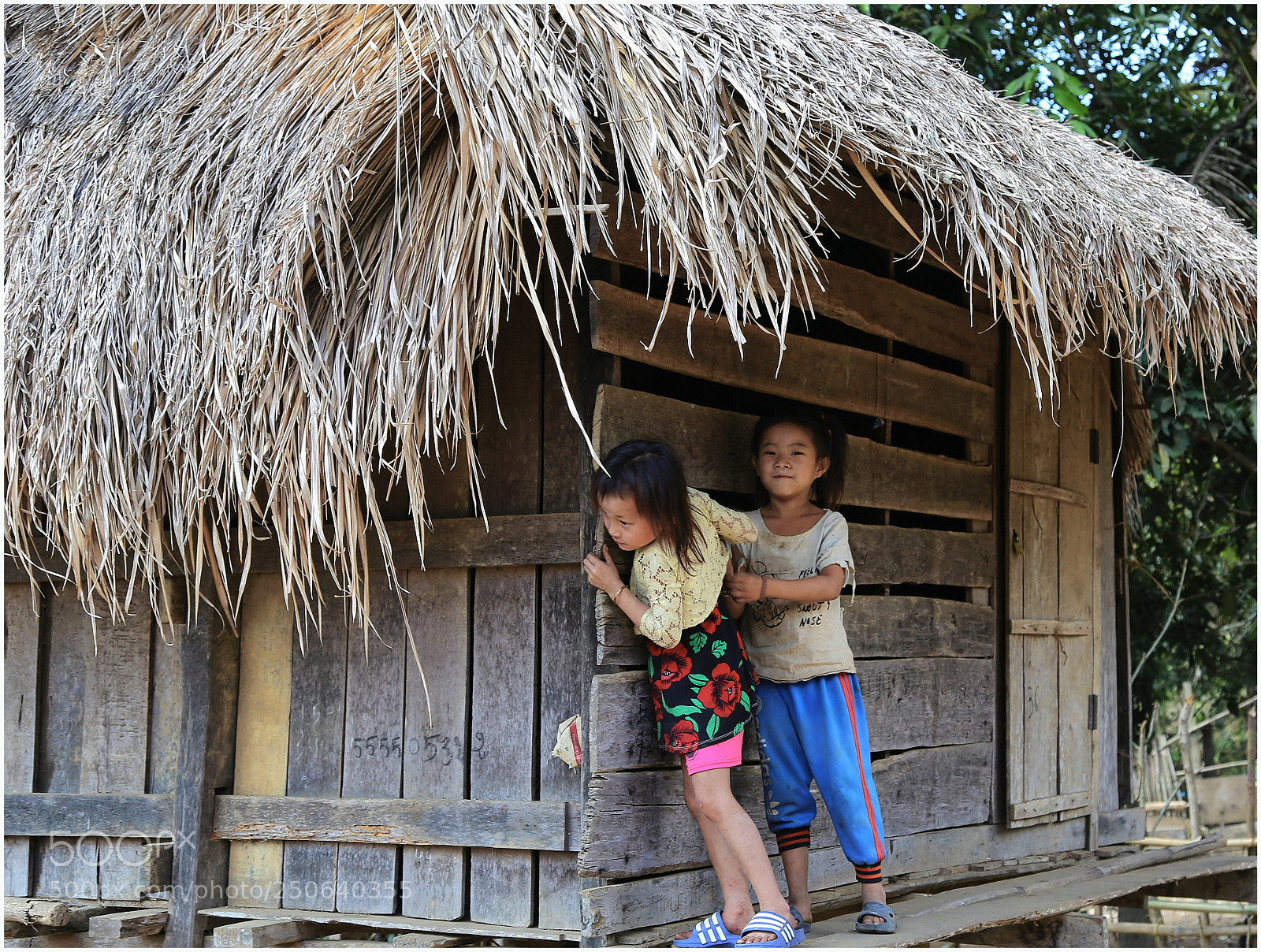 Canon EOS 6D + Canon EF 24-105mm F4L IS USM sample photo. Peek a boo photography