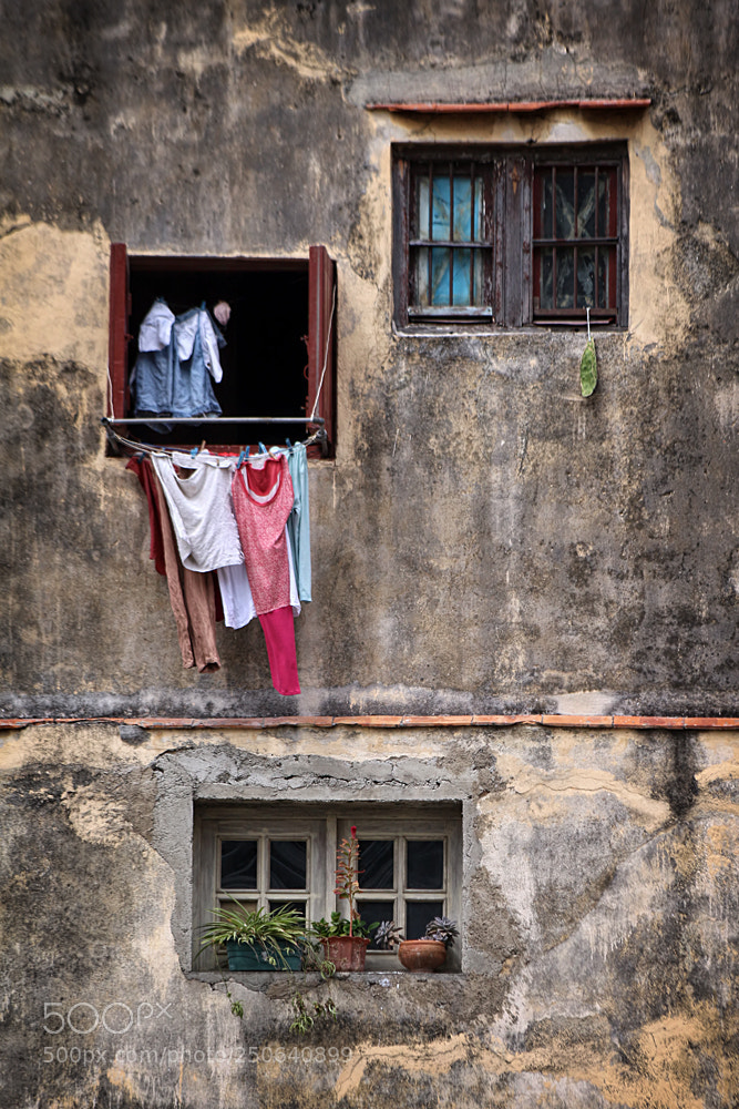 Canon EOS 700D (EOS Rebel T5i / EOS Kiss X7i) sample photo. Laundry day photography