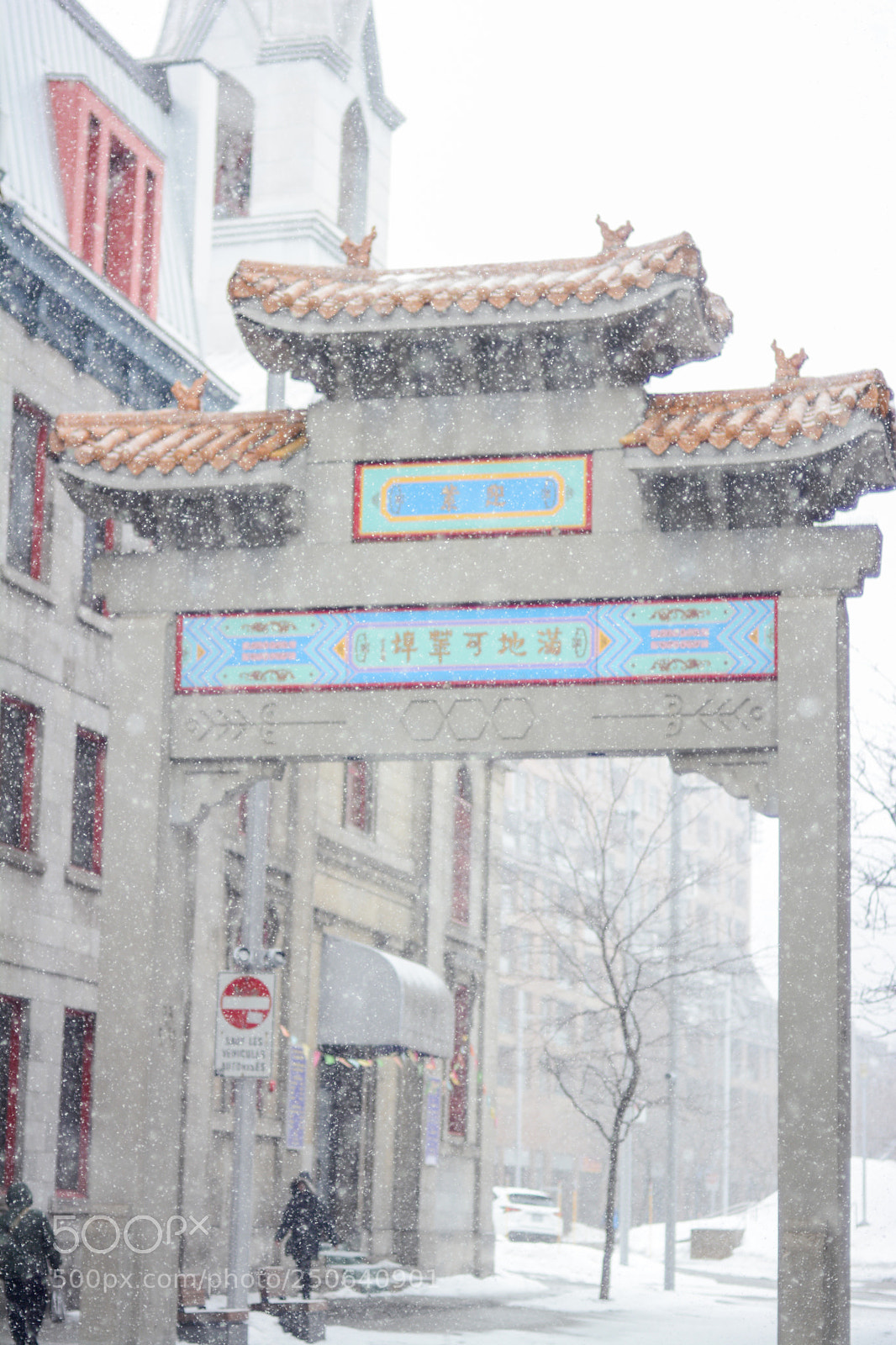Nikon D7100 sample photo. Montreal chinatown photography