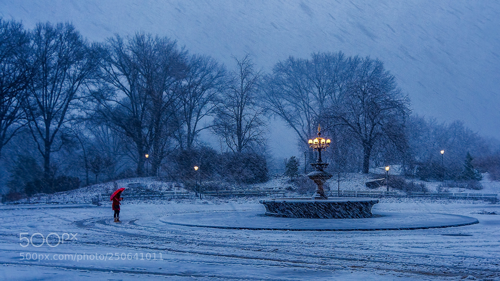 Nikon D7100 sample photo. Snowfall at central park photography
