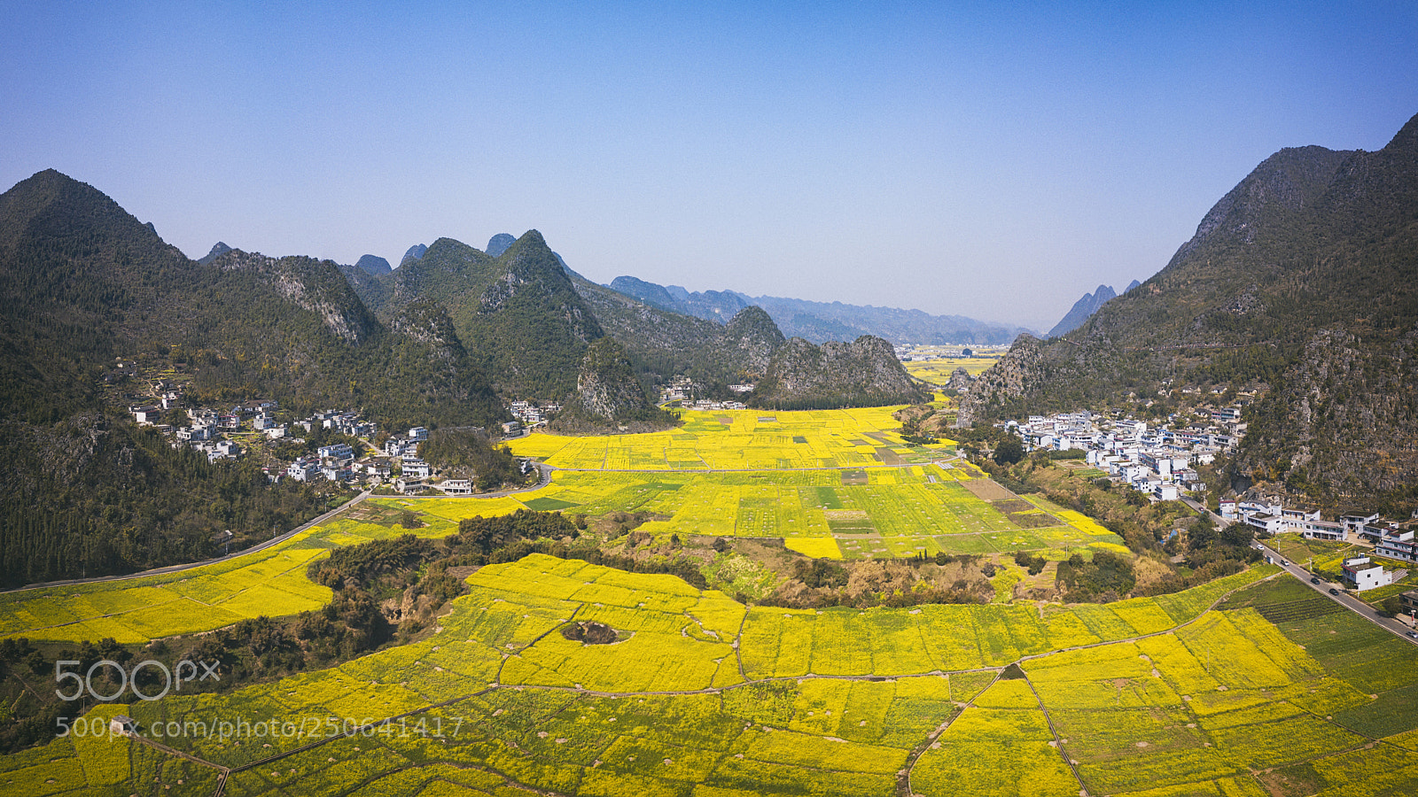 DJI FC220 sample photo. 春天的颜色 photography