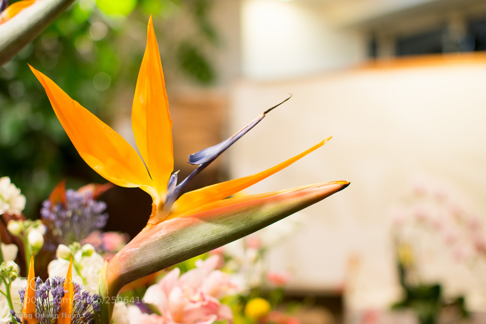 Nikon D5300 sample photo. Elegant photography