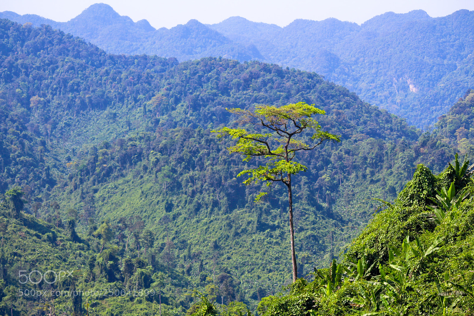 Canon EOS 700D (EOS Rebel T5i / EOS Kiss X7i) sample photo. Phong nha - ke photography