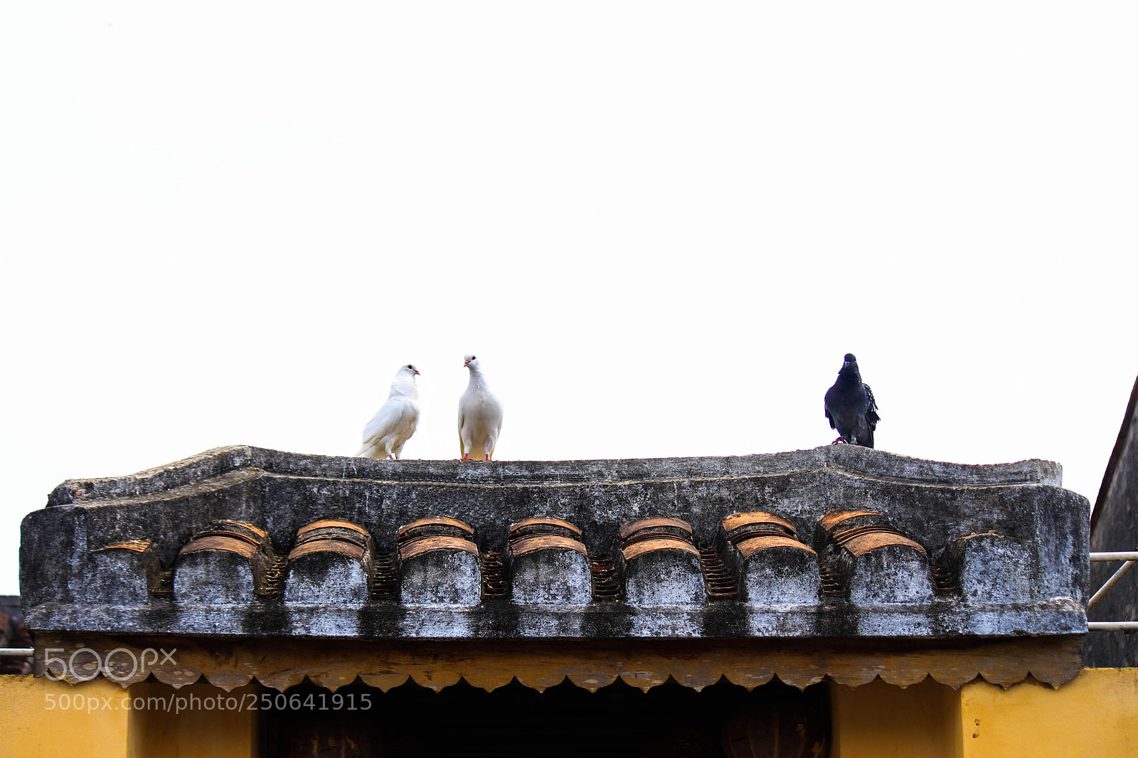 Canon EOS 700D (EOS Rebel T5i / EOS Kiss X7i) sample photo. Hoi an, vietnam photography