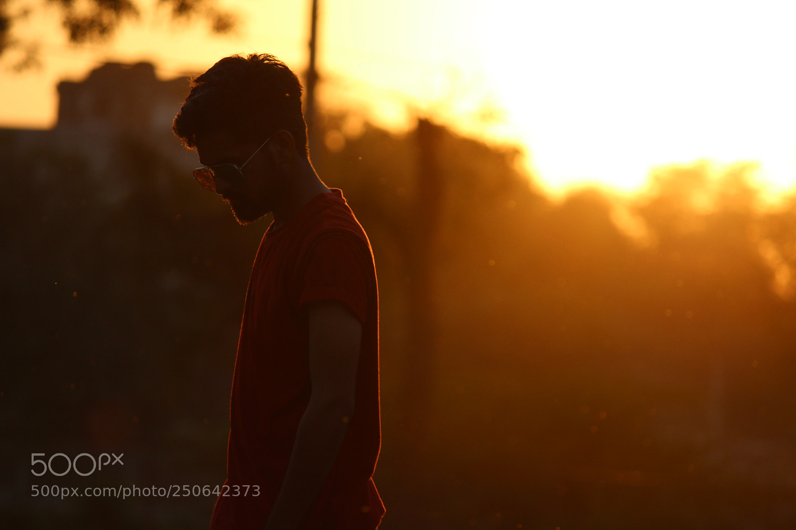 Canon EF-S 55-250mm F4-5.6 IS II sample photo. Natire photography