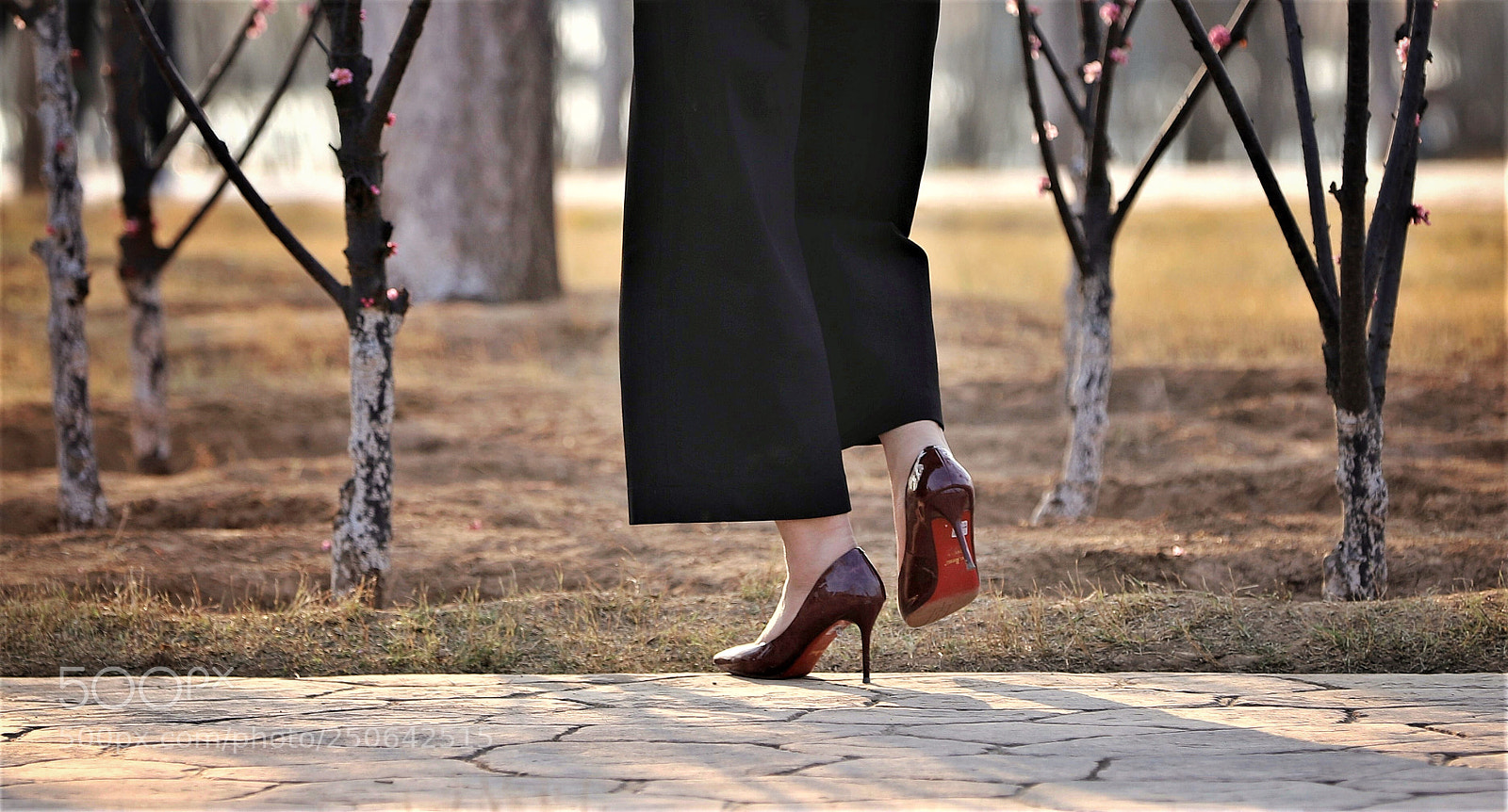 Canon EOS 6D Mark II sample photo. 此季的欣喜 photography