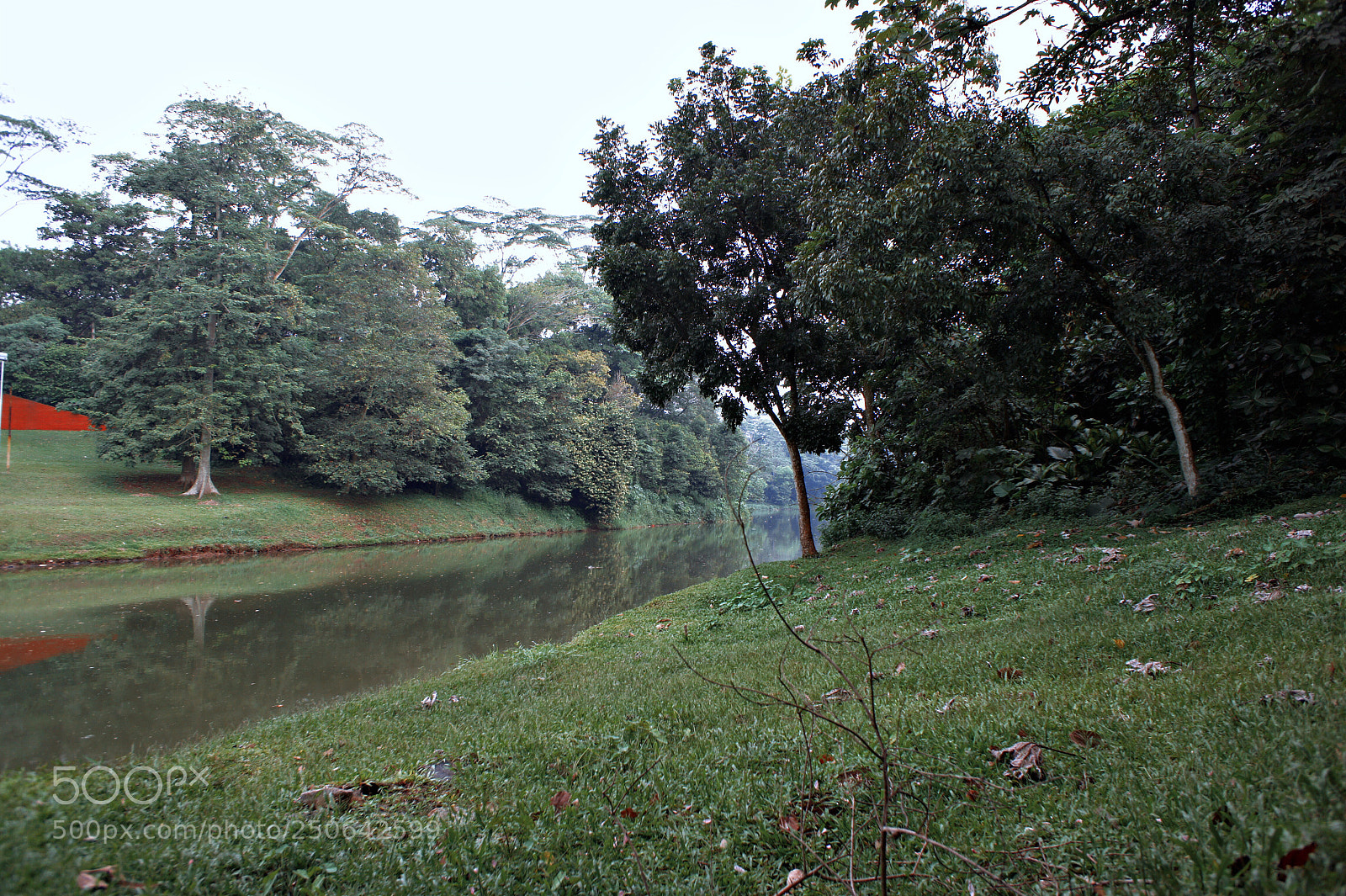 Sony Alpha NEX-5 sample photo. River bank photography