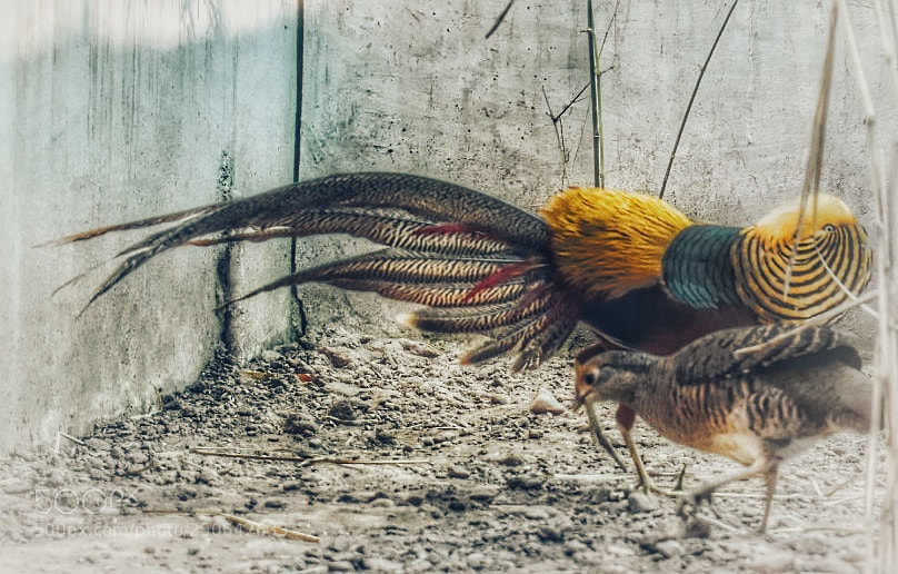 Nikon D3400 sample photo. Untitled photography