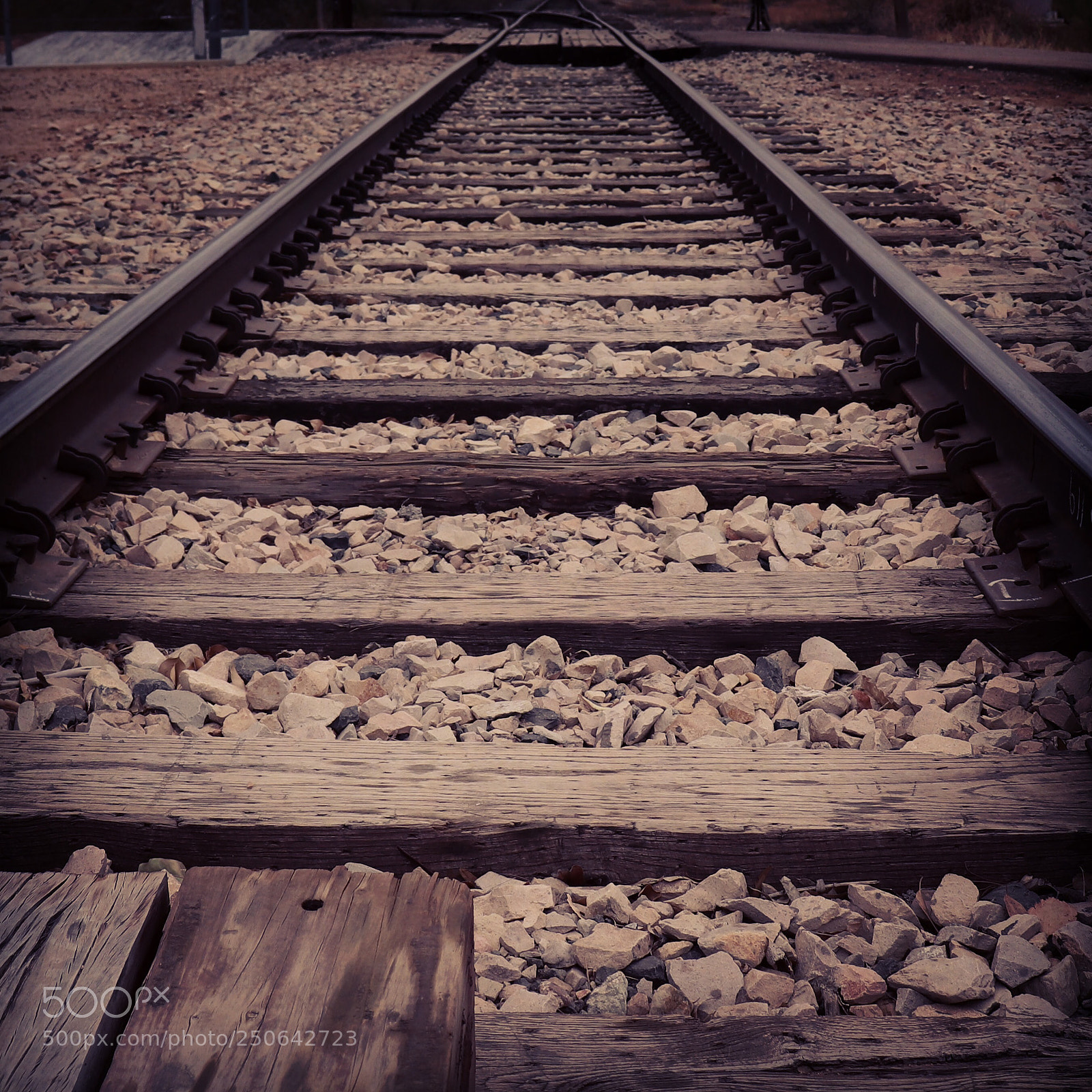 Canon EOS 200D (EOS Rebel SL2 / EOS Kiss X9) sample photo. Forgotten tracks  photography