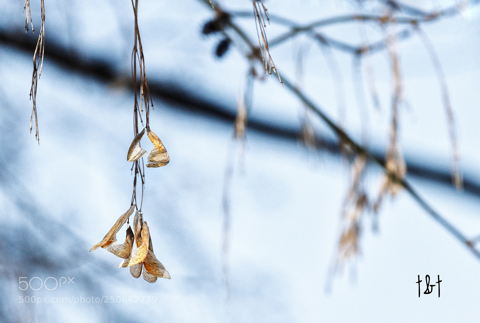 Canon EOS 7D sample photo. Untitled photography