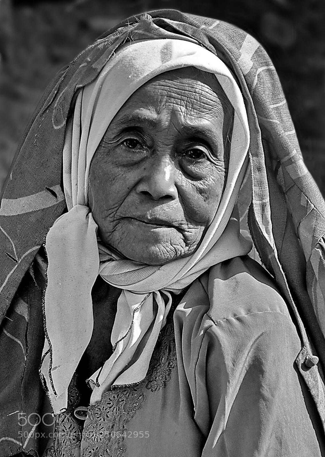 Nikon D5100 sample photo. The life is hard photography