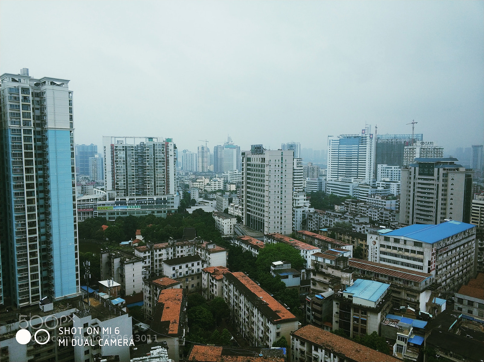 Xiaomi MI6 sample photo. Untitled photography
