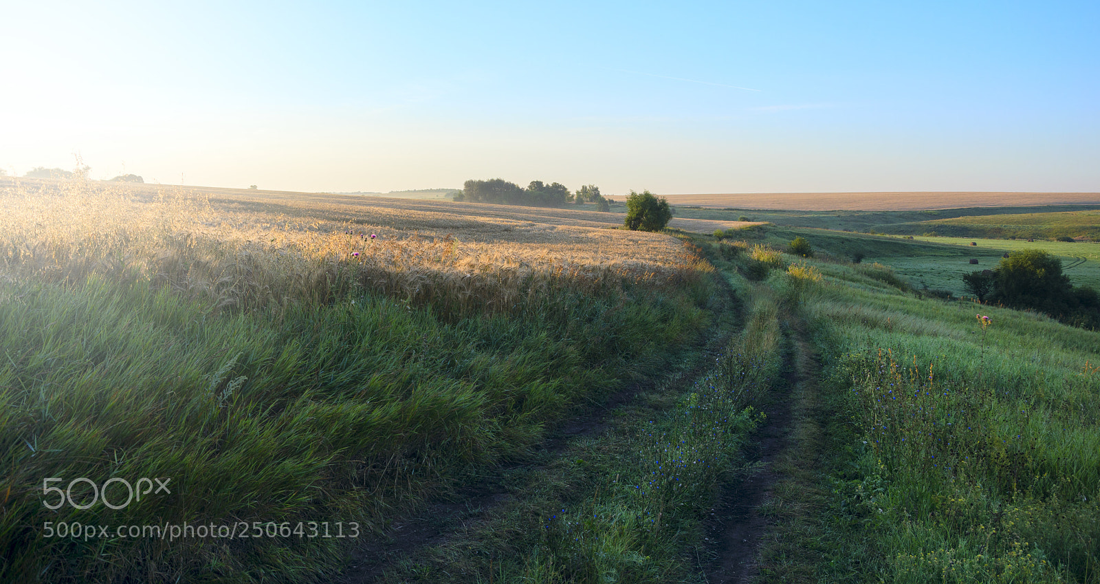 Nikon D5100 sample photo. Country roads photography