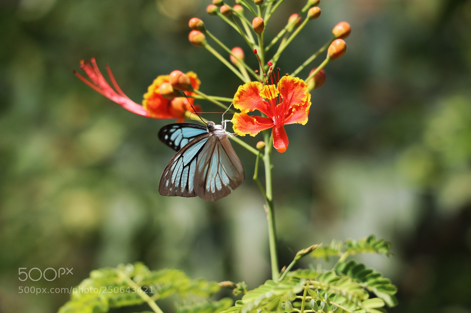 Canon EOS 70D sample photo. Untitled photography