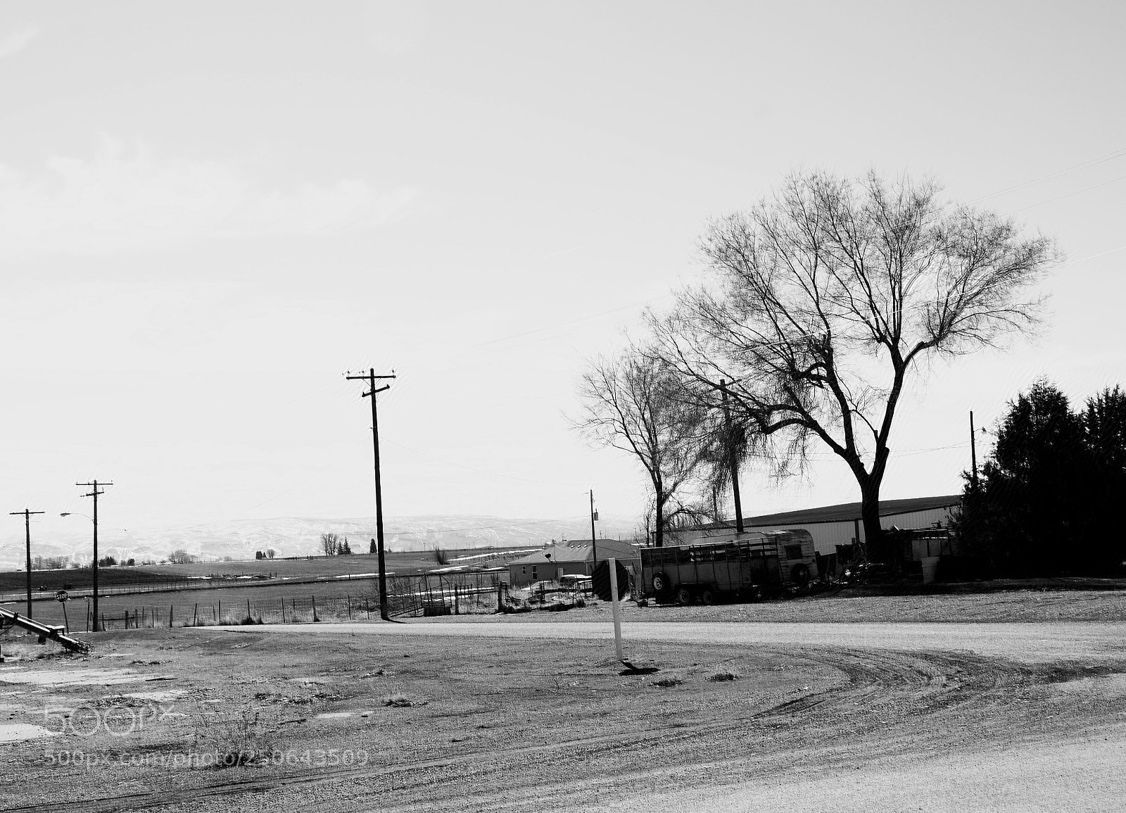 Nikon D7000 sample photo. The ashes of the photography