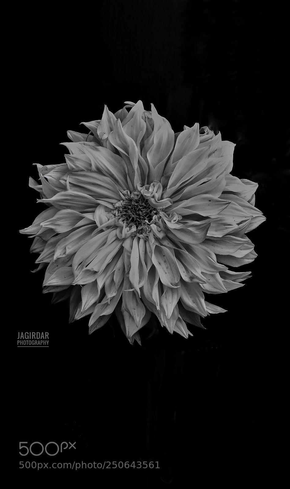 Nikon D5600 sample photo. Untitled photography