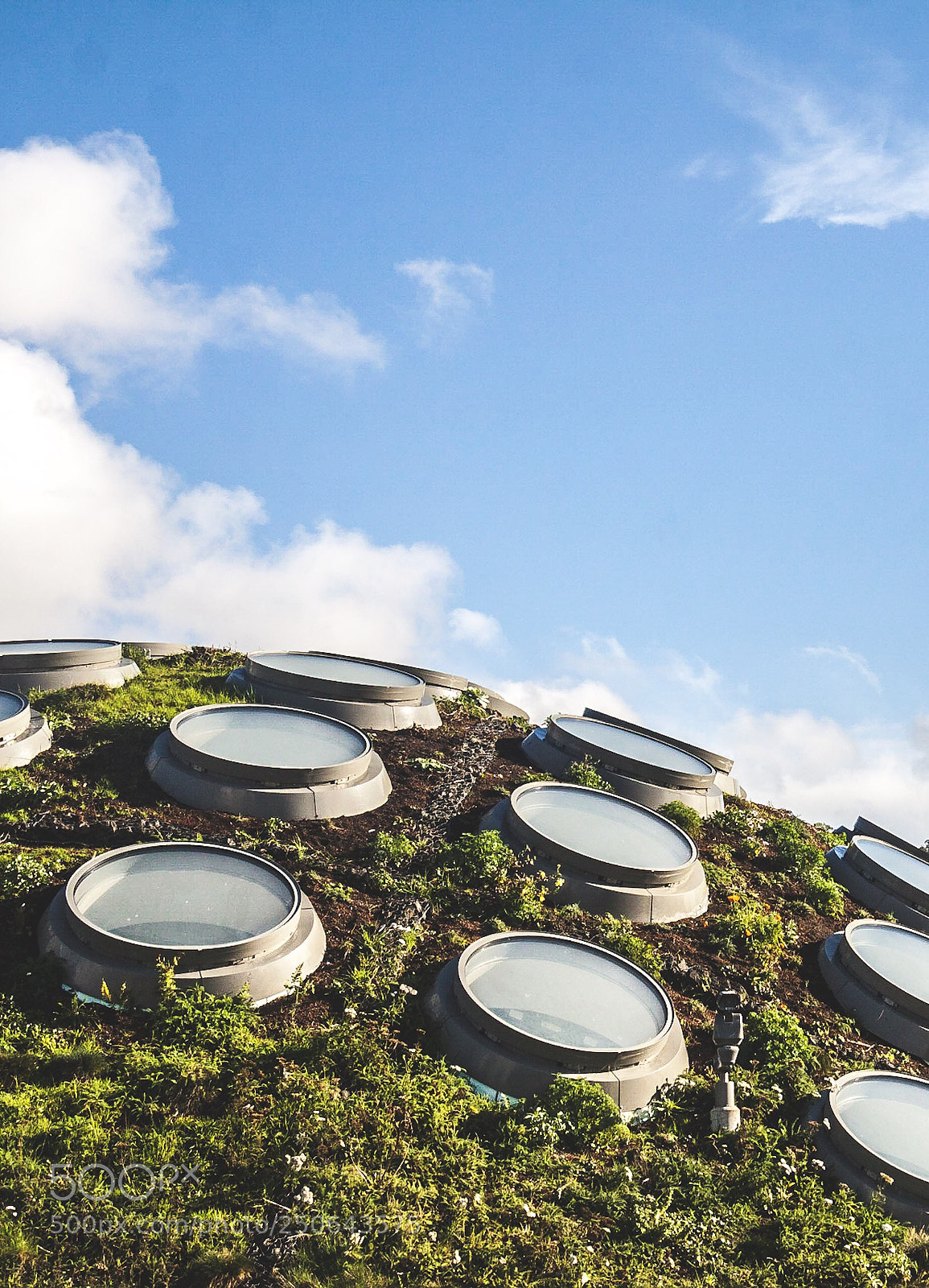 Canon EOS 50D sample photo. Living roof photography