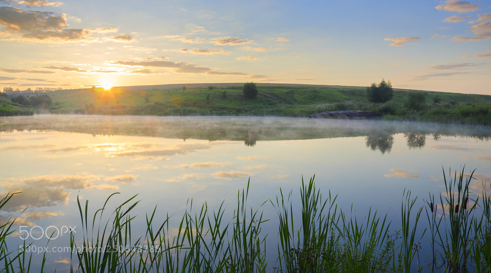 Nikon D5100 sample photo. Sunny morning photography
