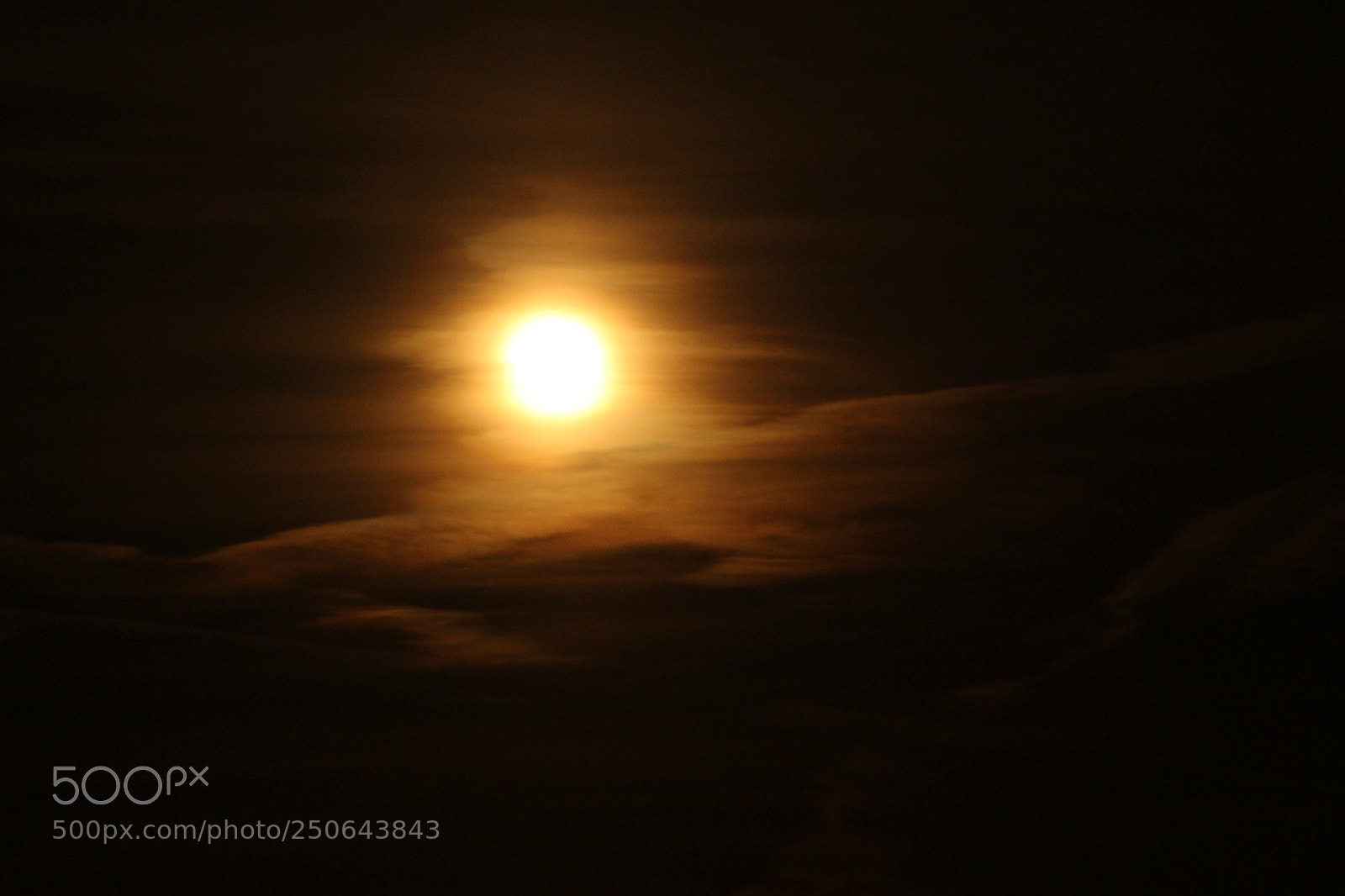 Canon EOS 700D (EOS Rebel T5i / EOS Kiss X7i) sample photo. Veiled photography