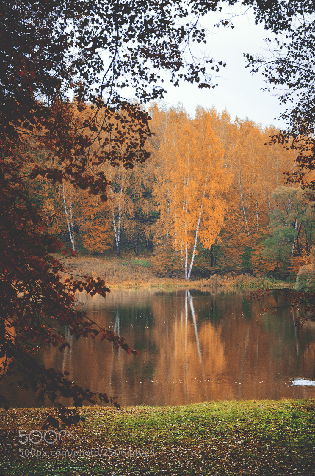 Nikon D5100 sample photo. Autumn park photography
